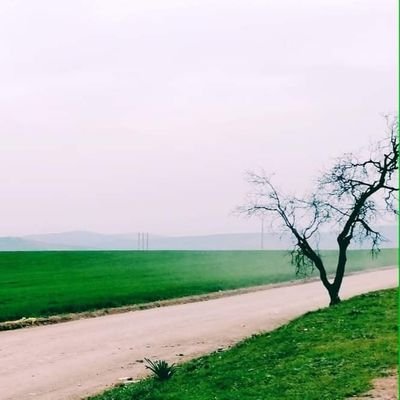 Sidalioran310's profile picture. Footballeur