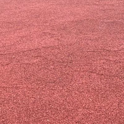 dghuglll's profile picture. 