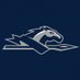 Longwood Lancers (@LongwoodLancers) Twitter profile photo