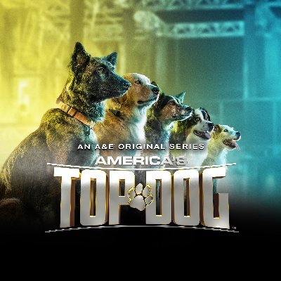 The official Twitter of America's Top Dog on @AETV. #TopDogAE