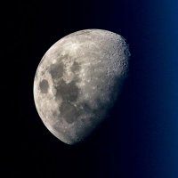 XRPspider (@xrpspider) 's Twitter Profile