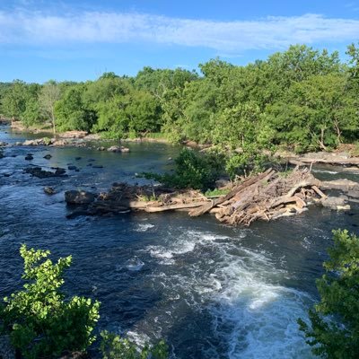 MichelleFreund1's profile picture. believer in science, facts, common sense. love 🐶 🌞 🌳🍸🍺 📚 🏌️‍♀️ 🏊‍♀️ 🏃‍♀️views are my own.