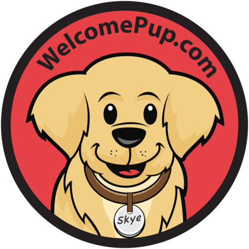 We're an online store delivering custom gift boxes of dog toys & products to a dog you love! Also visit our blog at http://t.co/yDuy5Ub4Jr