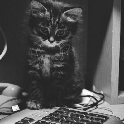 darkkkkside0001's profile picture. 23 yo, designer