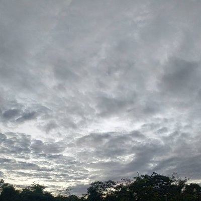 chakitaa_'s profile picture. 