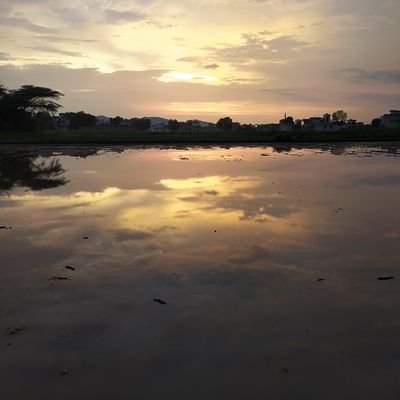 Priyank34466056's profile picture. खानाबदोश जिंदगी का अपना ही एक मजा है, न कोई ठौर, ना कोई ठिकाना, बस चलते ही जाना हैं।