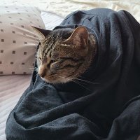 Denali Rae (@monsters_muses) 's Twitter Profile
