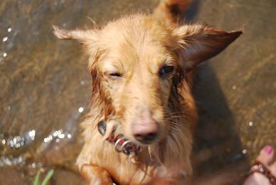 ayumi_theone's profile picture. underglow