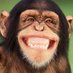 Smiling Chimp (@Smiling_Chimp) Twitter profile photo