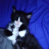 Orbits®© (@wtforbits) Twitter profile photo