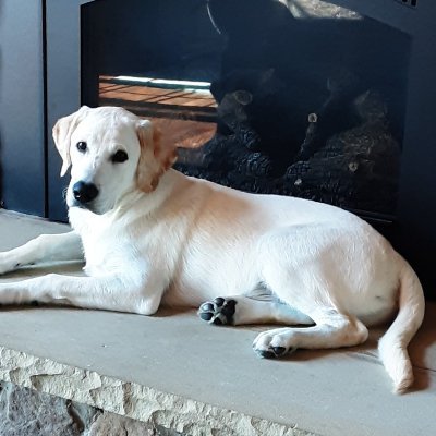 dnajack's profile picture. 