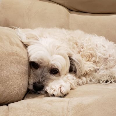 jacksonwong77's profile picture. 