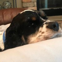 Tony Bartolomeo (@tbchisox) 's Twitter Profile