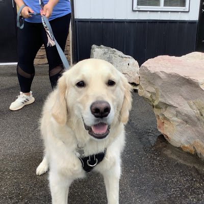 LOL01293's profile picture. Welcome!