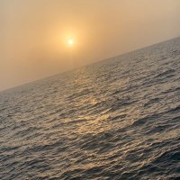 الشريف احمد الصمداني (@dshash515) 's Twitter Profile