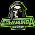 Cowabunga Hockey (@CowabungaHockey) Twitter profile photo
