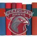 Seaforth HS Library (@seaforthlibrary) Twitter profile photo Seaforth HS Library (@seaforthlibrary) Twitter profile photo