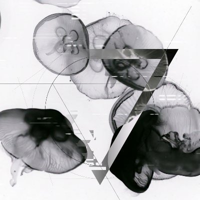 Explorateur de mondes virtuels.
https://t.co/F84fJiXdin
https://t.co/VpICEetMtD les mercredis à 22 heures
#VR