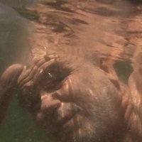 FerdinandoBoero (@cowboynando) 's Twitter Profile