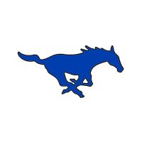 Friendswood High School(@fhsmustangs) 's Twitter Profileg