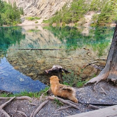 Homerwithaj's profile picture. I am whatever is needed of me.