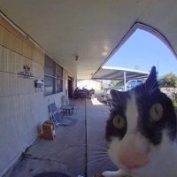 eduardo (@qtrip_) 's Twitter Profile