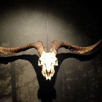 MarirenAlaba (@alabamariren) 's Twitter Profile Photo