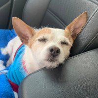 Cristy Morrill (@cristymorrill) 's Twitter Profile