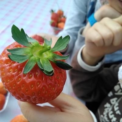 #お花 好き‼️ いい #写真 好き‼️かわいいが好き‼️自分なりにいいなあ、かわいいなあと思うものを載せてみたいです。共有できたらうれしいです。お気軽にフォローどうぞ 無言フォロー失礼します🙇 DM会話は無しで🙇♀️