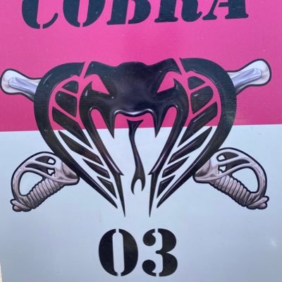 Official twitter account for Cobra 03, NTC Operations Cavalry Trainer. Best in the Desert. Following, RTs, likes≠endorsement.