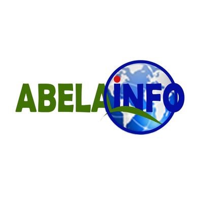 Abelainfo est un site d'informations bilingue qui traite essentiellement des questions de santé, d'éducation et de Collectivités Décentralisées.