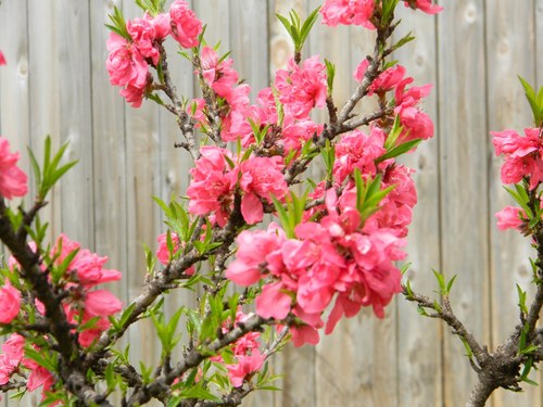 ZuzuMarket's profile picture. 