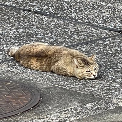 4423180a's profile picture. mmm