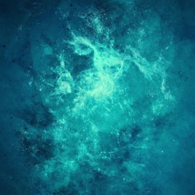 whxy1991's profile picture. 