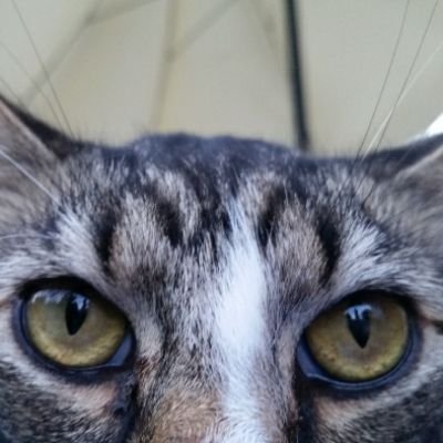 Keith70194586's profile picture. 