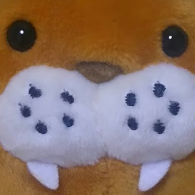 ぽんちきるまさんのプロフィール画像