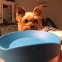 Bryce Moretz (@bmoretz1) 's Twitter Profile