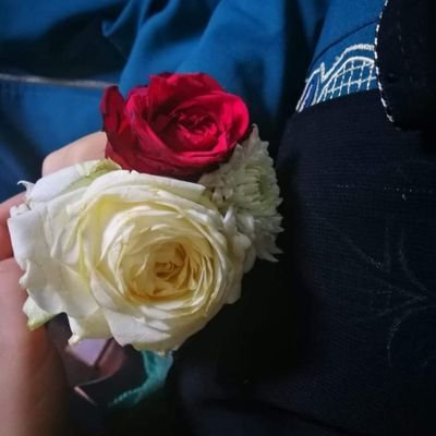 AishaOmar282's profile picture. 