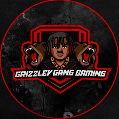 EST. 2021. The Official Gaming Entertainment Organization of @TeeGrizzley | Use code GRIZZLEY @CinchGaming & @ALTCustoms | #GrizzleyGG