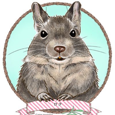 歴史学者から動物関係へジョブチェン飼い主🙍♀️とデグー、スナネズミ、ジャイビル、レオパ、グランディスヒルヤモリ、ソメワケササクレヤモリ、クレス、ポメラニアン、メインクーンの日常🏠