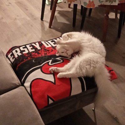elias26devils's profile picture. Die hard Devils fan for life