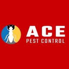 Ace Pest Control is world's best leading pest control company. We have #1 TRUSTED Pest Controllers who can get you rid from all types of insect infestation.