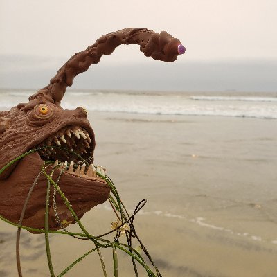 CarlosFeesh's profile picture. Happy little turd Angler FEESH from Uranus.
Come check my channel for Pimp my Ride follow ups on the cars. https://t.co/SmTQBaAwZ2