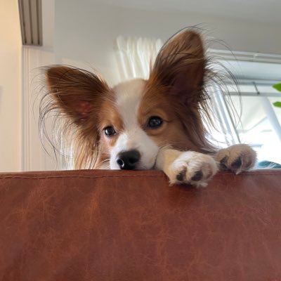 tanjijiji's profile picture. @🇲🇾修行中