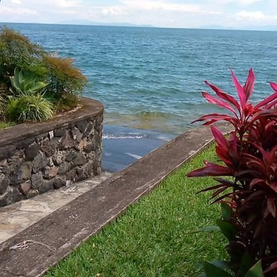 MwambaBonny's profile picture. Lecteur