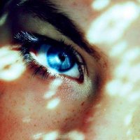 ansaam (@ansaam74565281) 's Twitter Profile Photo