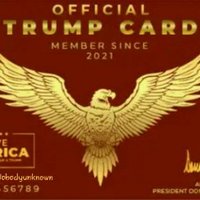🇺🇸Pitter Patter🇺🇸 3.7 (@nobodyunknown10) 's Twitter Profile