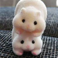 ◆ゆぅ◆ (@ydearsm) Twitter profile photo