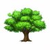 Generic Tree (@GenericTree2500) Twitter profile photo