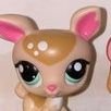 foxkidgoodnites's profile picture. 🦖19🐜he/him🦠Kid fur🐶Ages: 6-12🪁 
🔊SFW NON-SEXUAL🔊
📢Pls DNI: transphobic, MAP/AAM, zoos, and anti LGBT. 📢
🔞18+ pls 🔞
